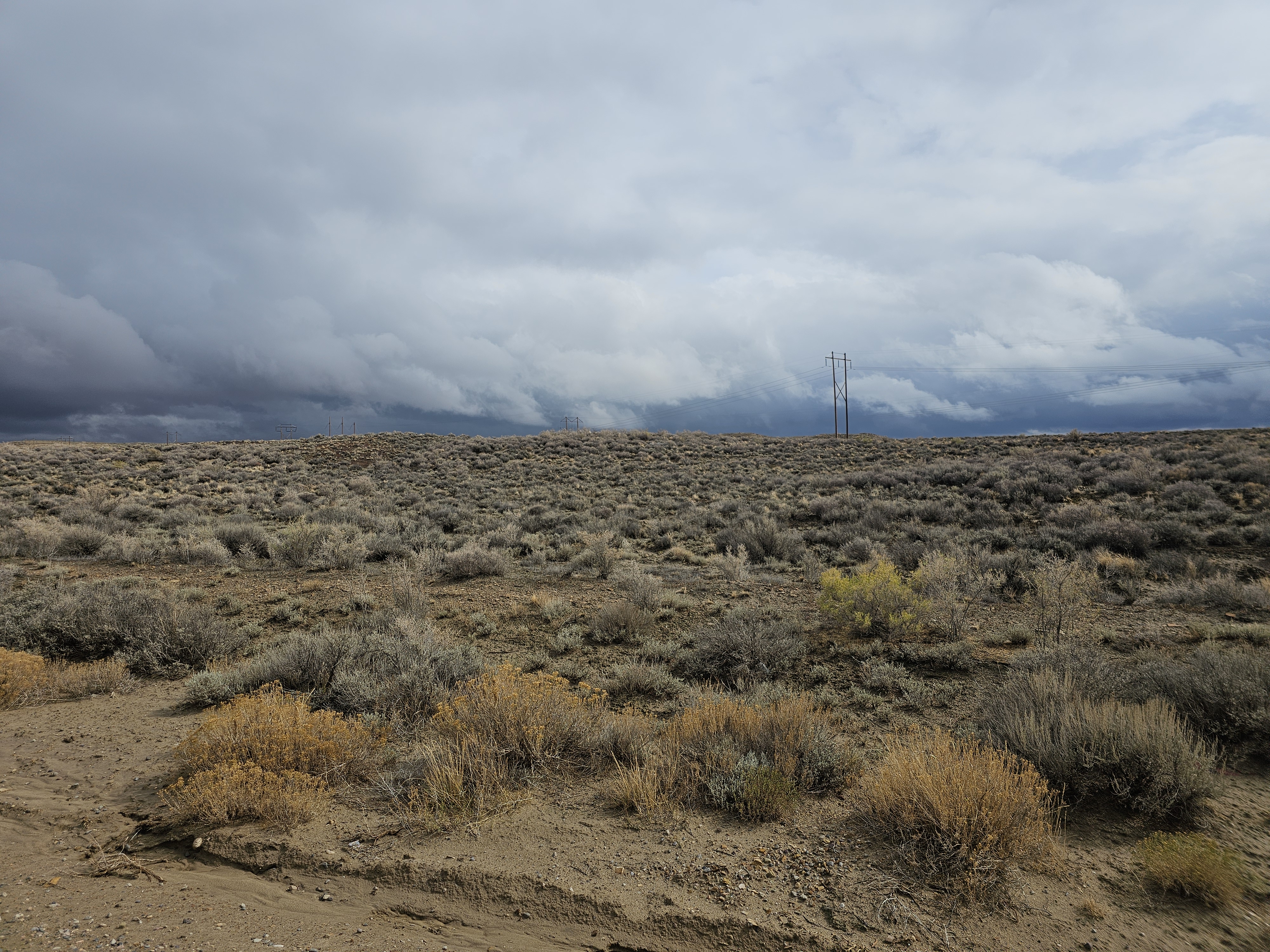 Trail Running Wyoming’s Wild Horse Loop
